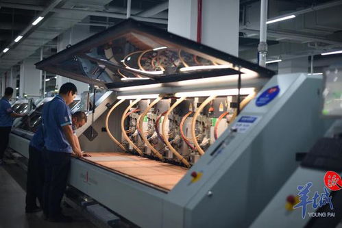 揭秘惠州这家企业如何连续6年营收增长30%以上 沿着高速看中国广东科技中介服务